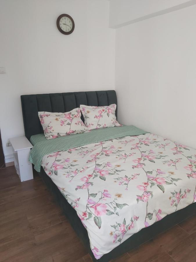 Mosilorcentralboutique Bukurešť Exteriér fotografie